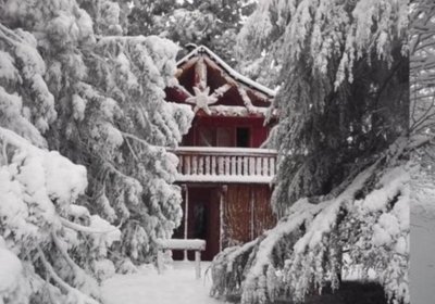 Sycamore Avenue Treehouses