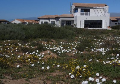 Golfers Haven & Lagoon Links