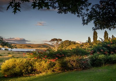 Wetlands Country House & Sheds