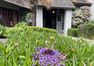 iNkosi Luxury Lodge