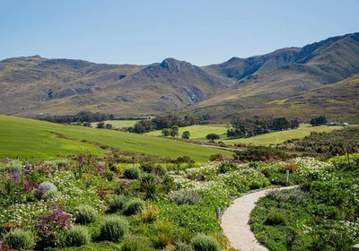 Stanford Valley Country Lodge