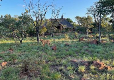 Abloom Bush Lodge and Spa Retreat