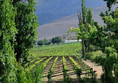 Mymering Wine & Guest estate