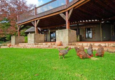 Bankenveld House Bed and Breakfast