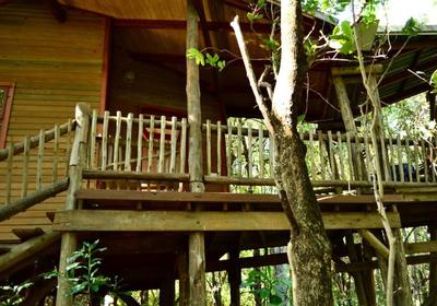 Waterbessiebos Cottage