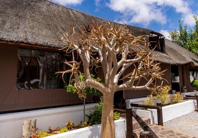 Kleinplasie Gastehuis