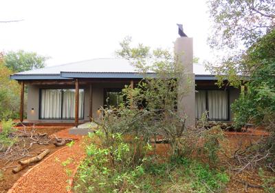 Wild Dog Guest Lodge