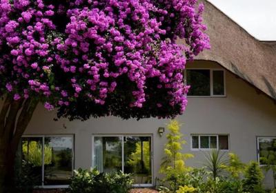 Highveld Splendour Boutique Bed and Breakfast