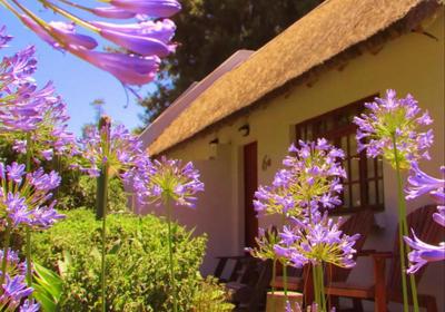 Rosedale Farm Bed and Breakfast