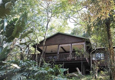 Forest Bird Lodge