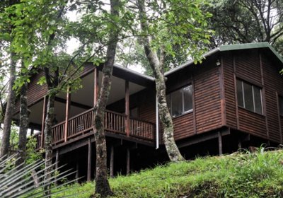 Forest Bird Lodge