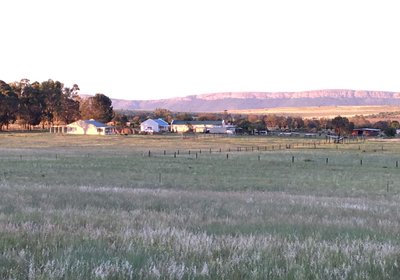 Sanctuary Life Guest Farm