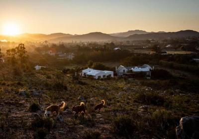 Kogman & Keisie Guest Farm