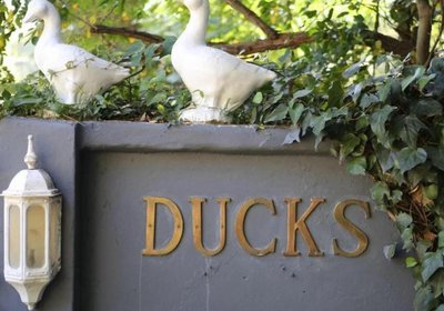 Ducks Country House and Venue