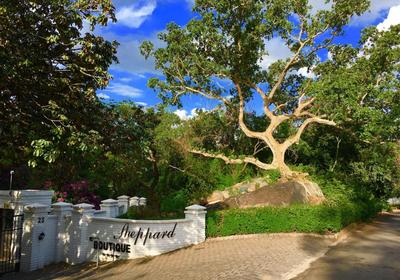 Sheppard Boutique Hotel