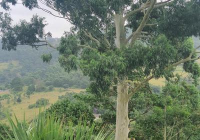 Protea Hill Guesthouse