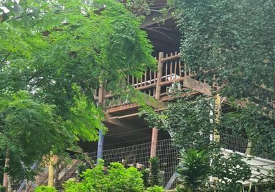 Protea Hill Guesthouse