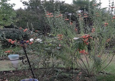 AMANI GUEST HOUSE CLARENS