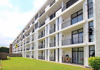 The Solo - 409 and 411