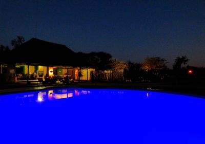 Thorn Tree Bush Camp - Tented camps and cabins