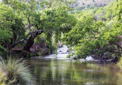Rivendell Trout Estate