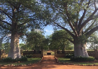 Baobab Lane Lodge