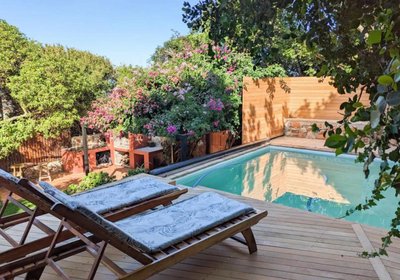 Cape Weaver Muizenberg