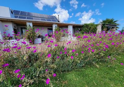 Oorgenoeg in Langebaan