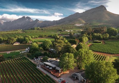 Alluvia Boutique Winery