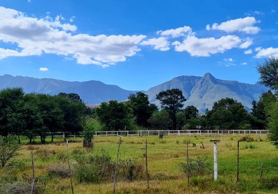 Blue Mountain Farm Lodge