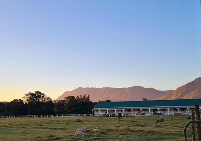 Blue Mountain Farm Lodge