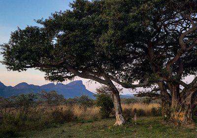 Honeyguide Ranger Camp