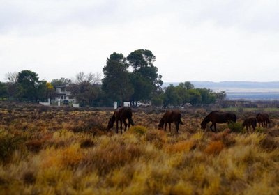 Dellville Country House & Cottages