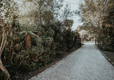 Storms River Forest Lodge