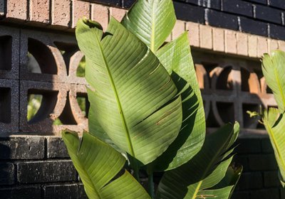 The Red Door Clarens