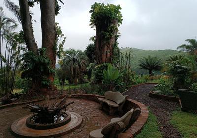 Pecan Farm Guest House