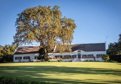 Taaibosch Collection