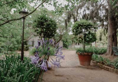 Blue Gum Country Estate