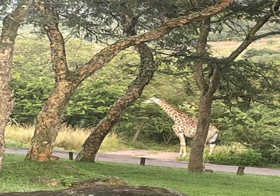 Khululeka Safaris Lodge