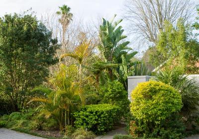 Cherry Berry Guest House