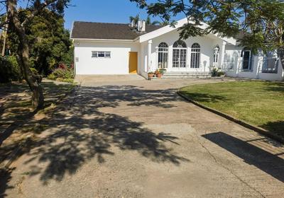 The Yellow Door Guesthouse