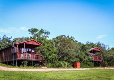 Fleckvieh Guest Farm