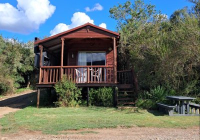 Fleckvieh Guest Farm