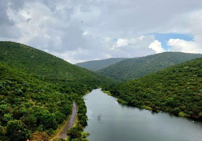 419 The Hornbills Nest