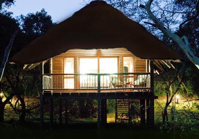 Ubizane Zululand Tree Lodge