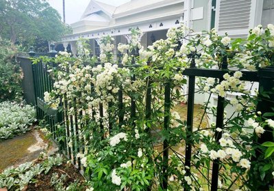 La Rochelle Guesthouse