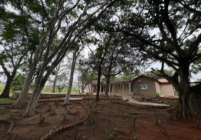 Zabini Lodge and Game Drive