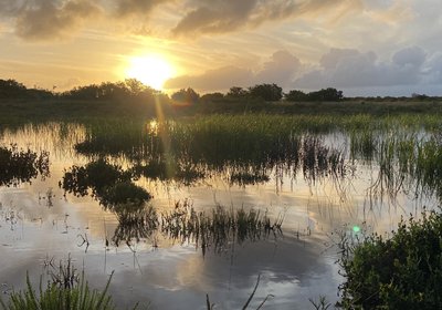 Zoetvlei Wildlife Estate