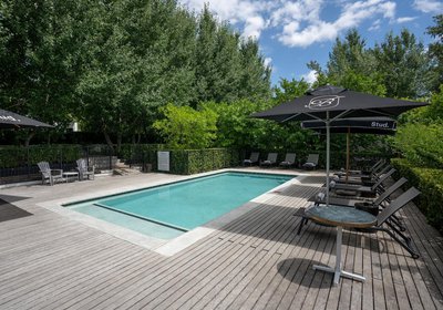 Brenaissance Wine & stud Estate