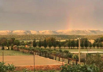 Sanctuary Life Guest Farm